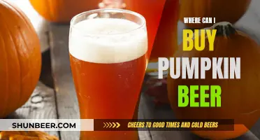 Pumpkin Beer: Where to Buy the Best Seasonal Brews