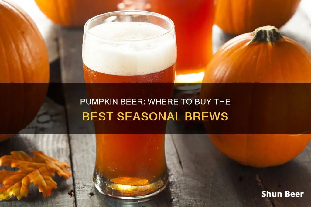 where can i buy pumpkin beer