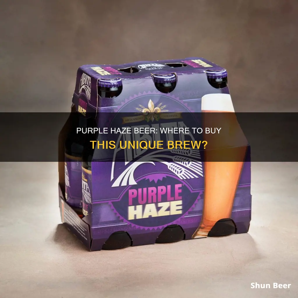 where can i buy purple haze beer