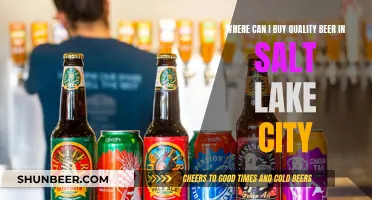 Salt Lake City's Best Beer: Where to Buy Quality Brews