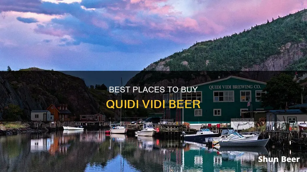 where can i buy quidi vidi beer