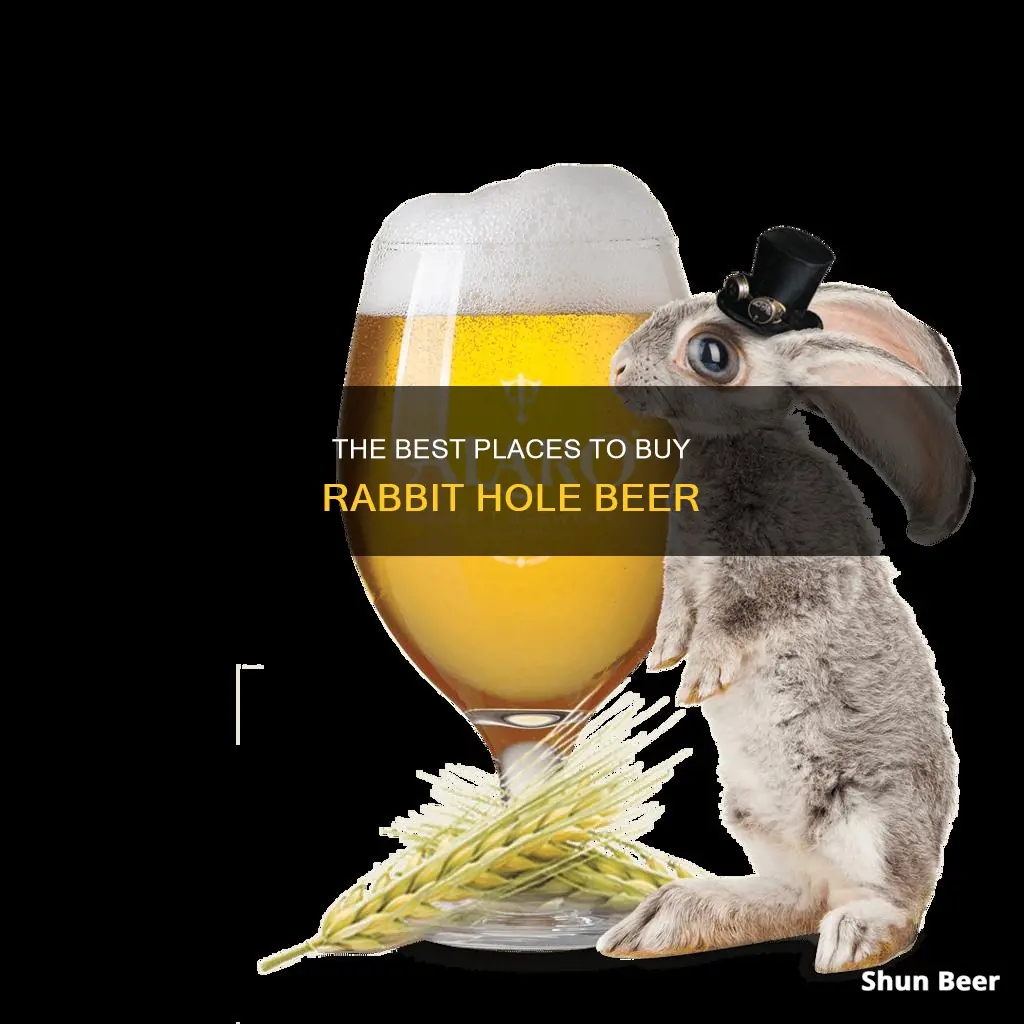 where can i buy rabbit hole beer