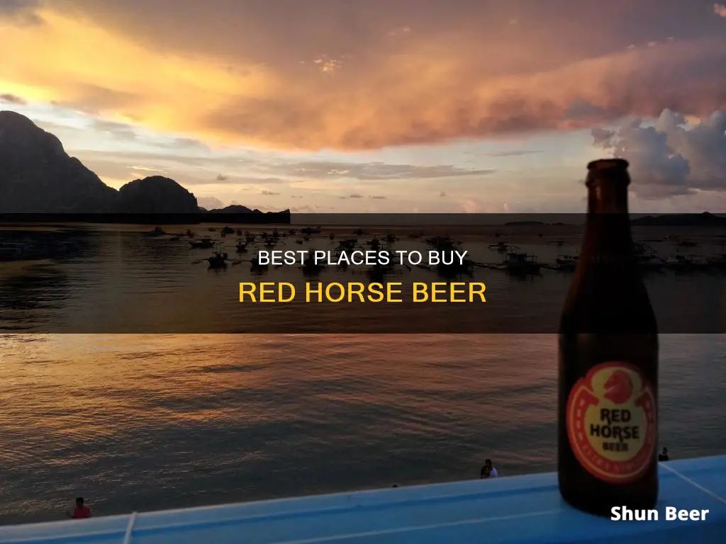 where can i buy red horse beer