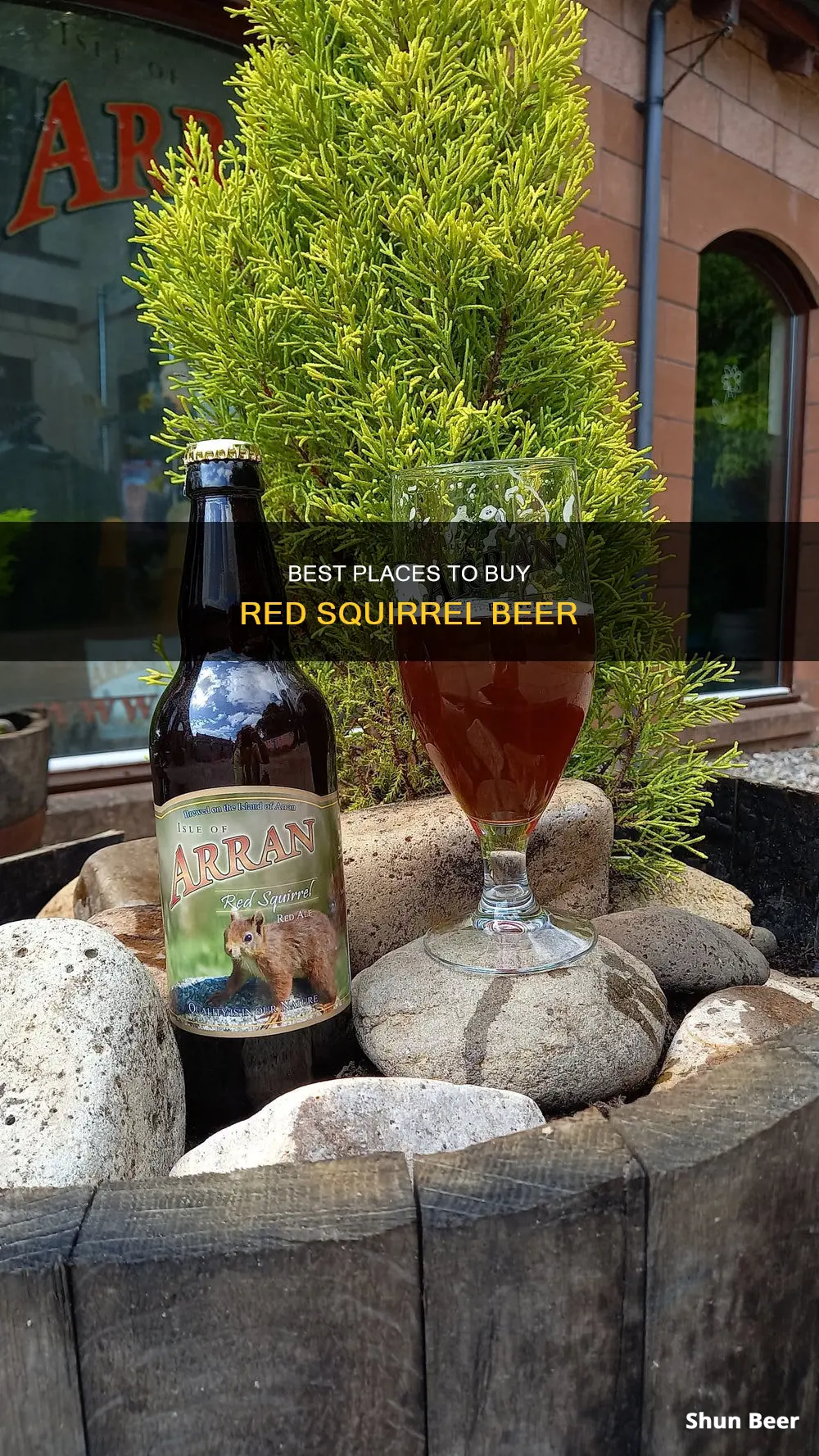 where can i buy red squirrel beer