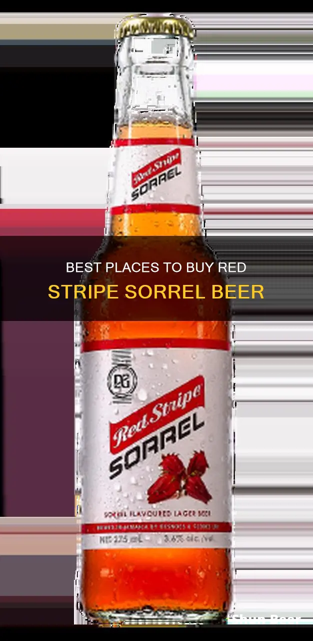 where can i buy red stripe sorrel beer