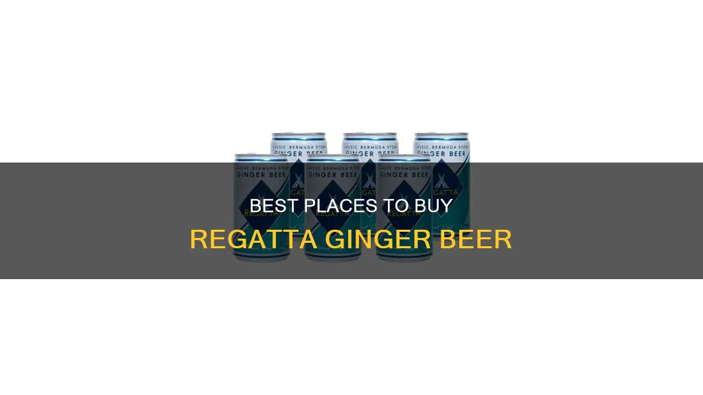 where can i buy regatta ginger beer