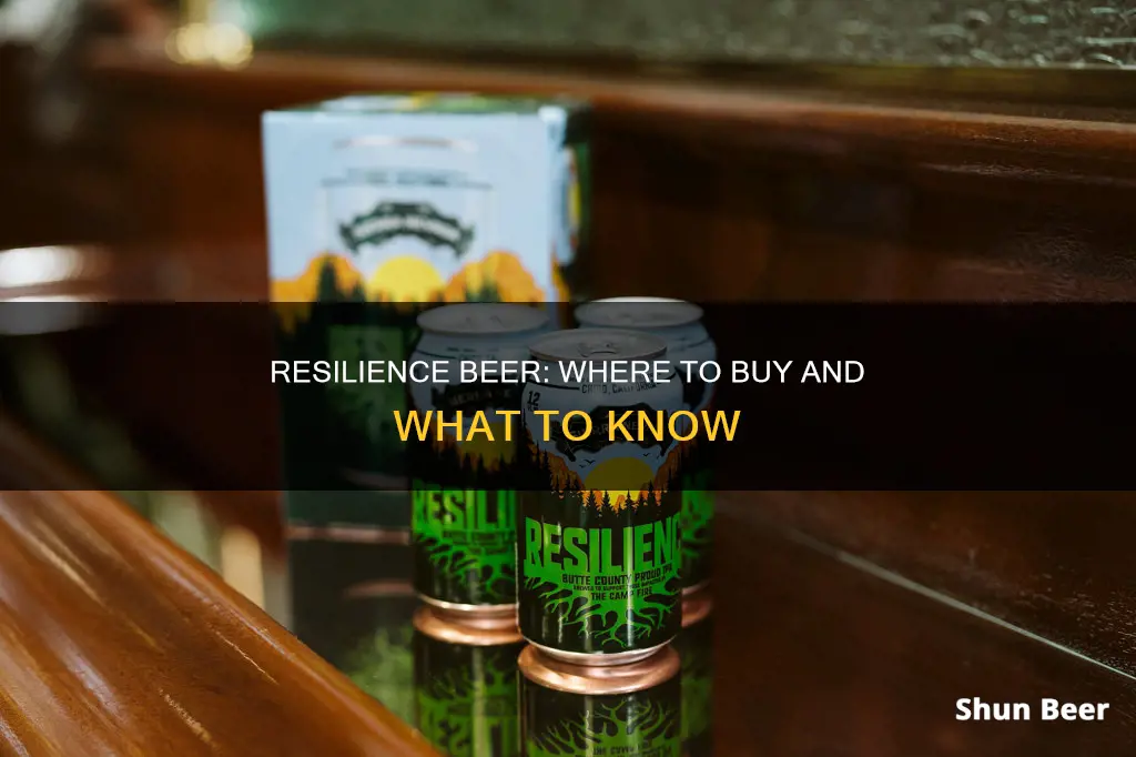 where can i buy resilience beer