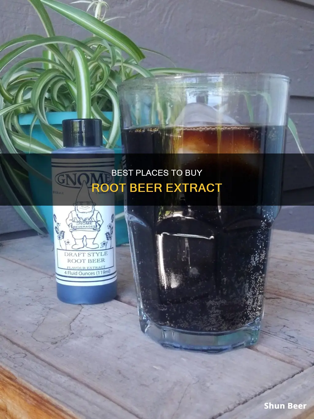 where can i buy root beer extract