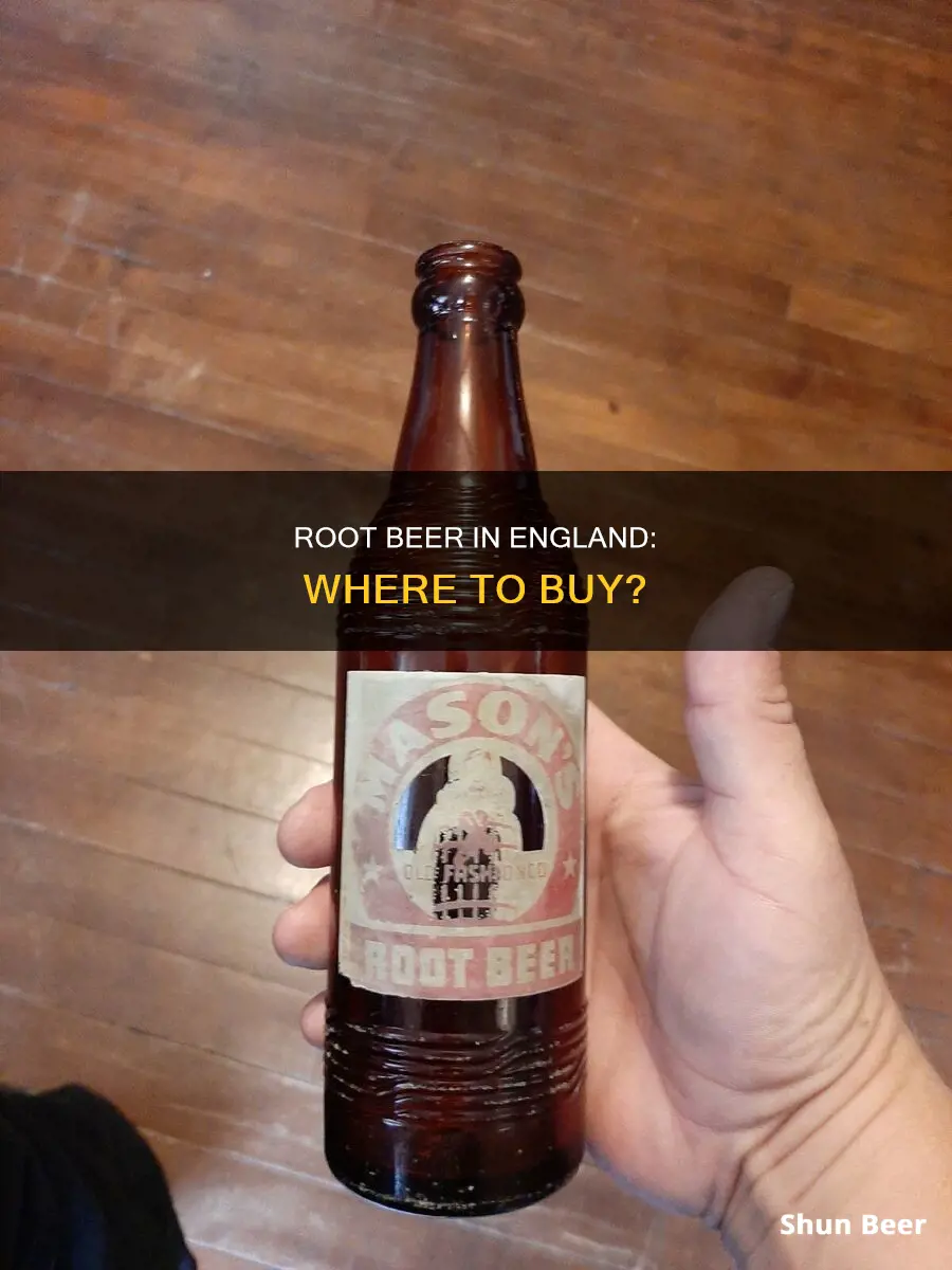 where can i buy root beer in england