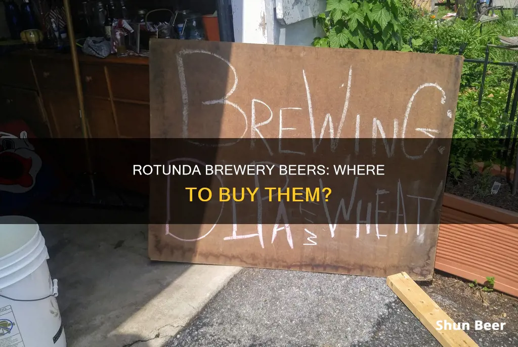 where can i buy rotunda brewery beers