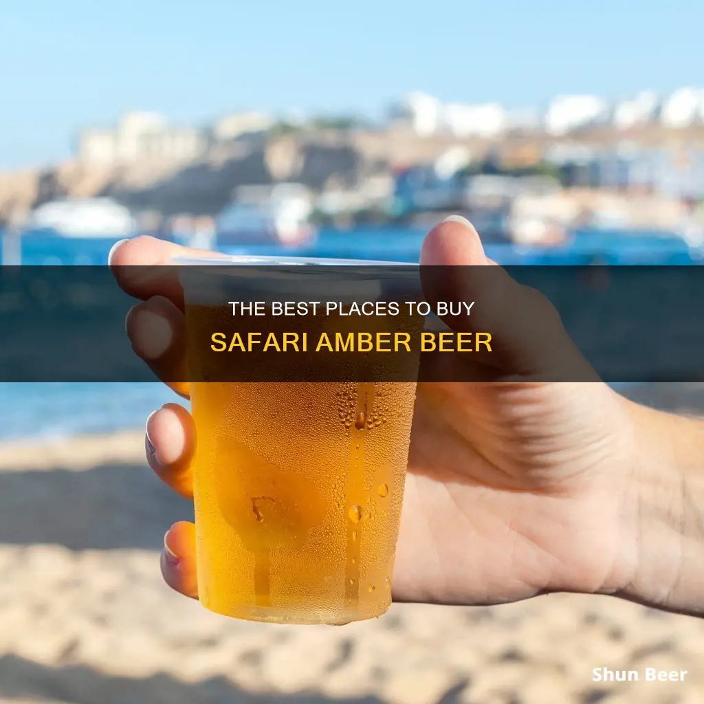 where can i buy safari amber beer