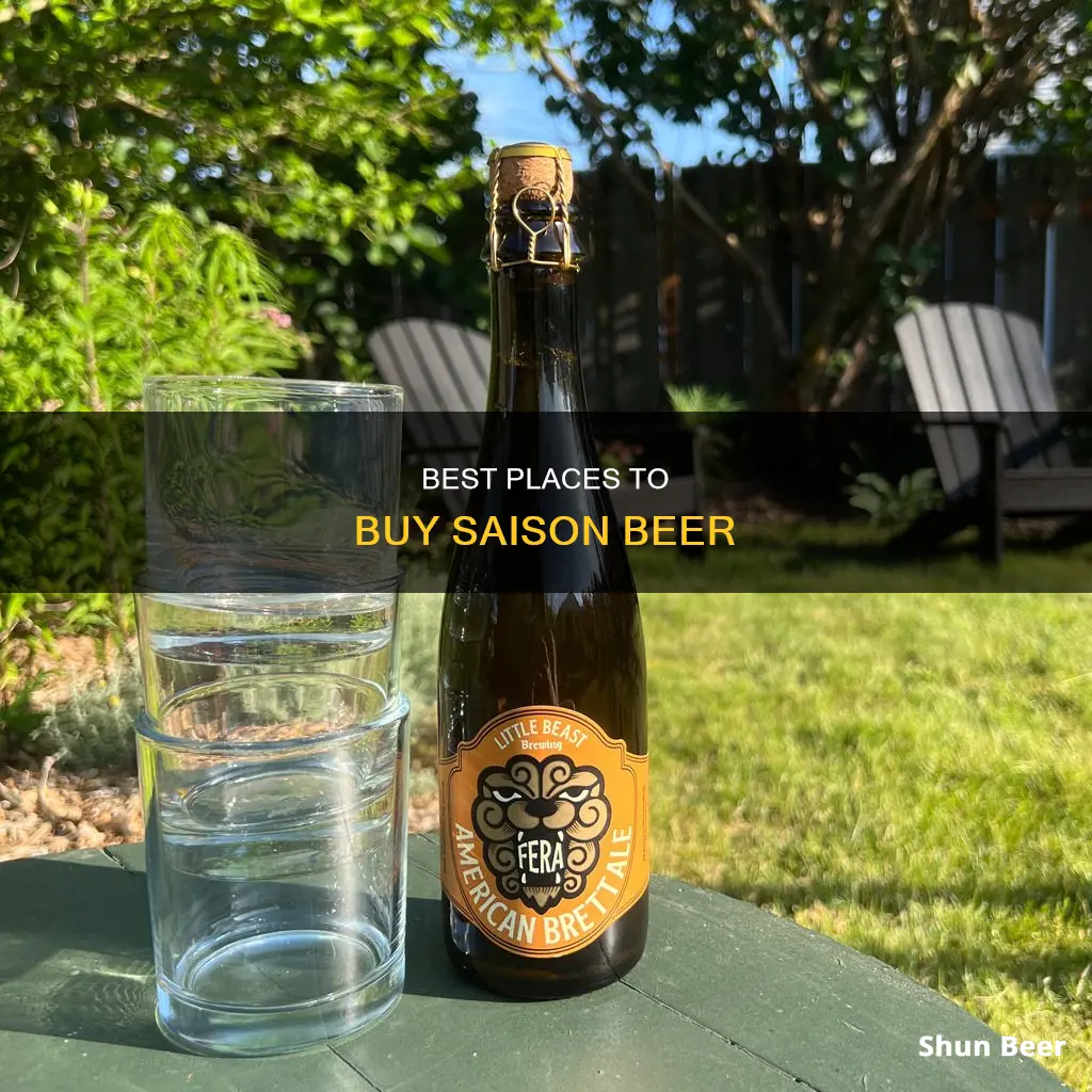 where can i buy saison beer