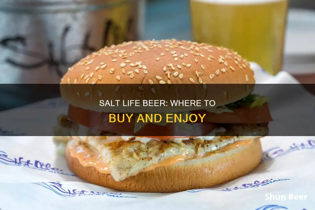 where can i buy salt life beer