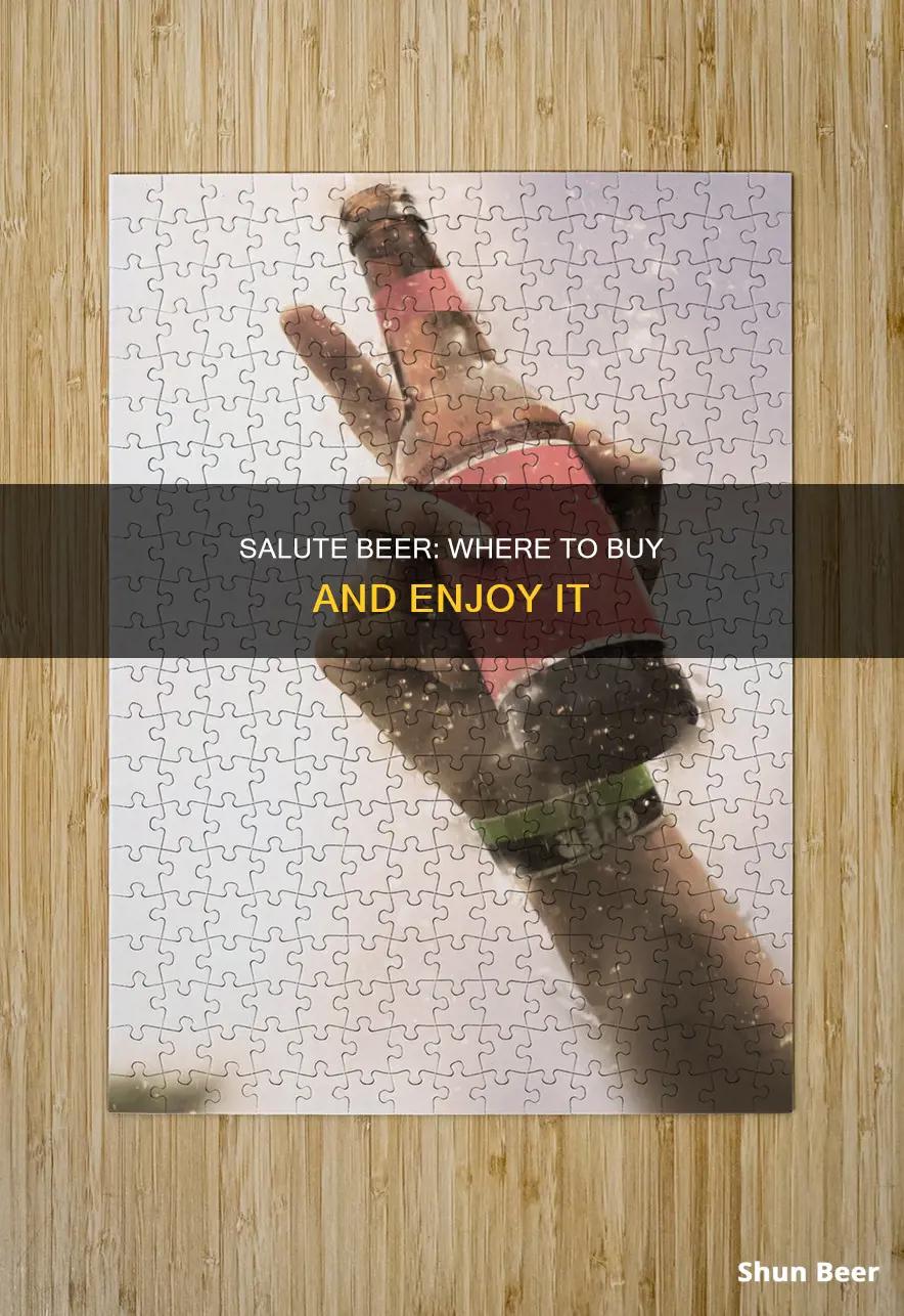 where can i buy salute beer