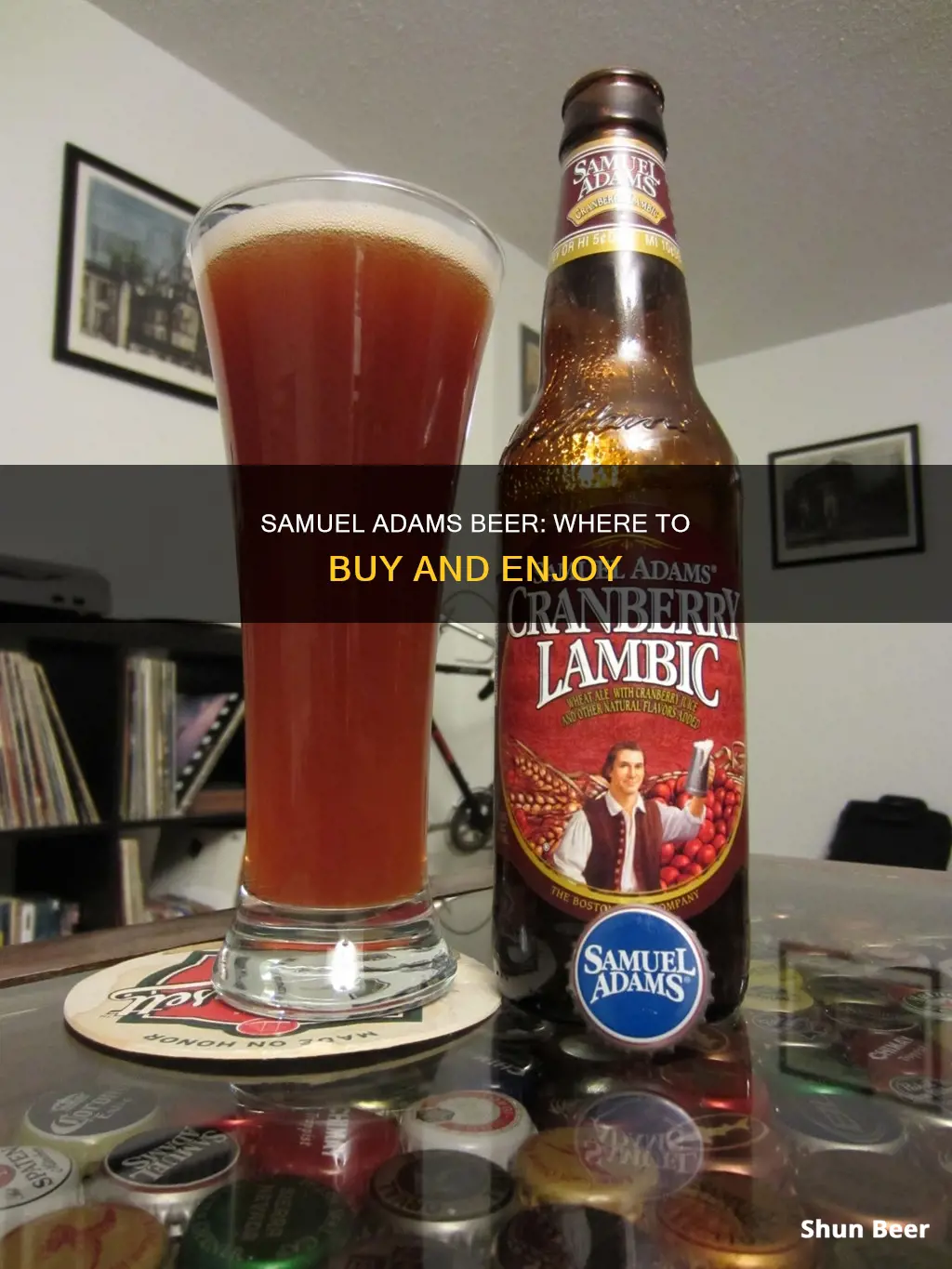 where can i buy samuel adams beer