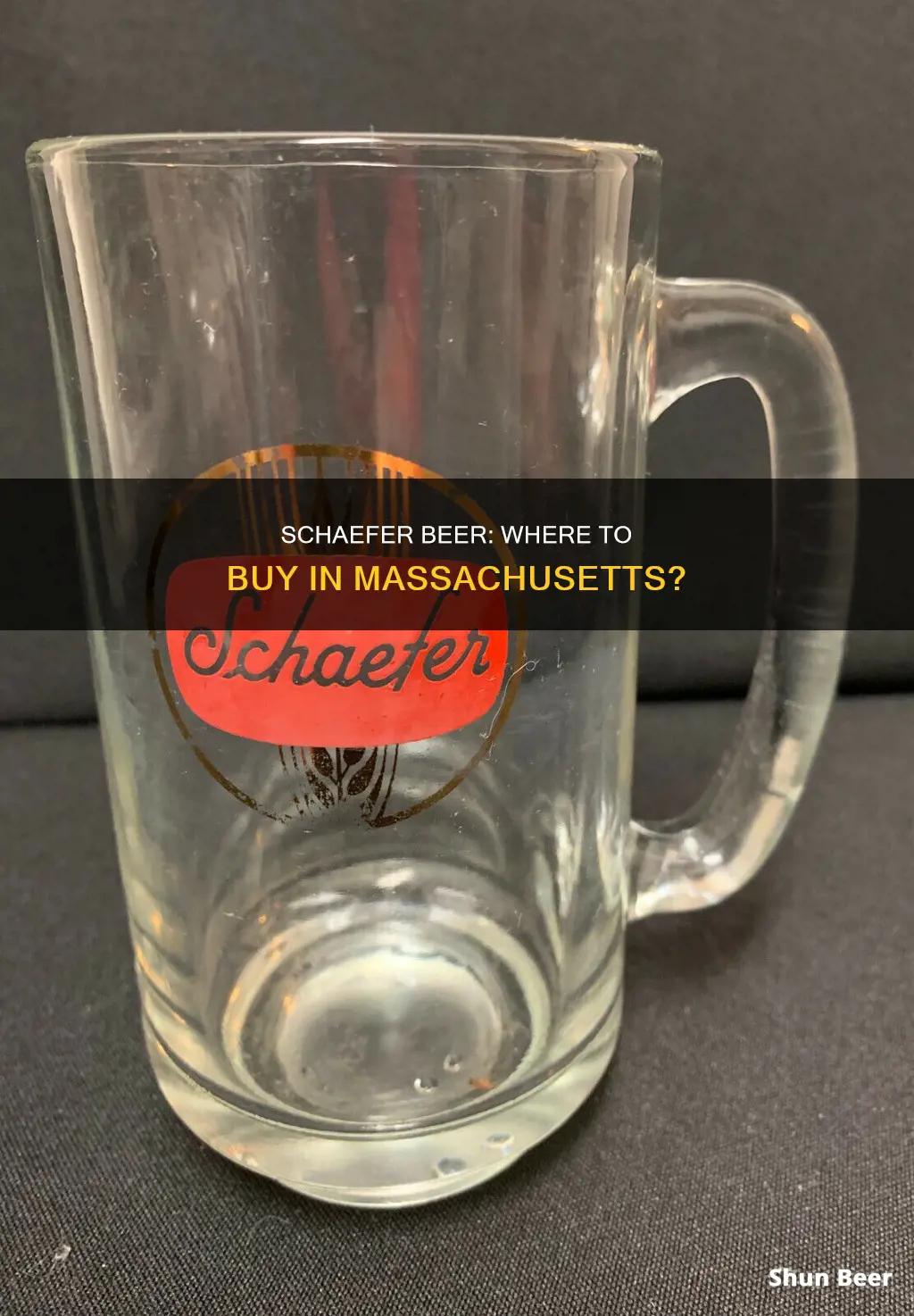 where can i buy schaefer beer in massachusetts