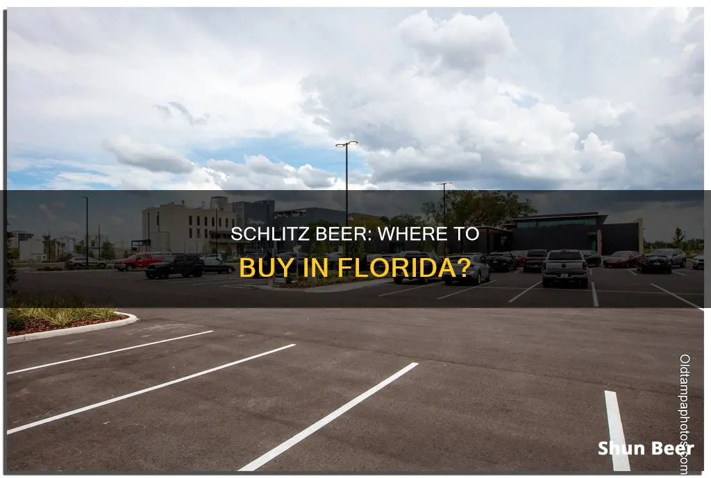 where can i buy schlitz beer in florida