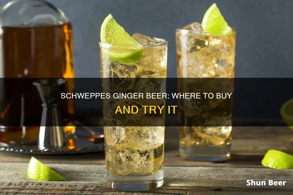 where can i buy schweppes ginger beer