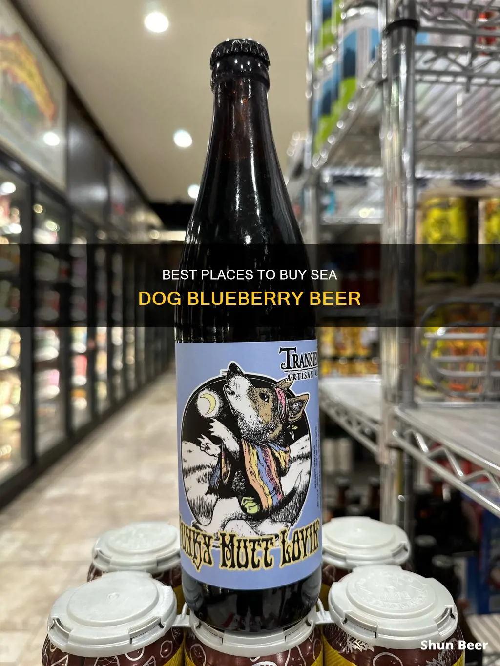 where can i buy sea dog blueberry beer