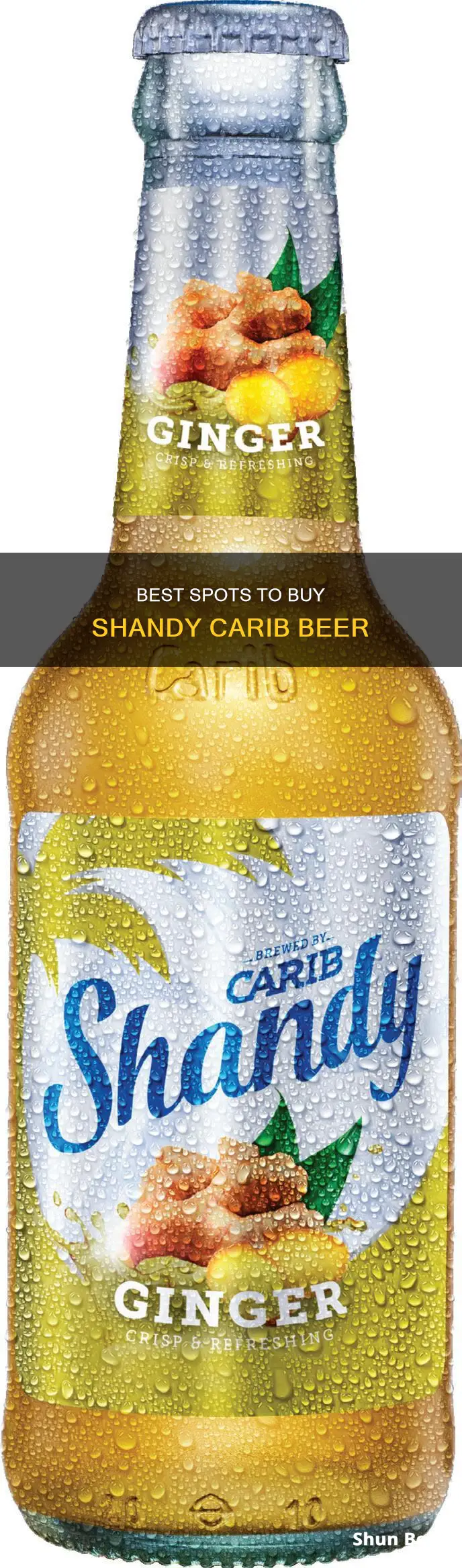 where can i buy shandy carib beer