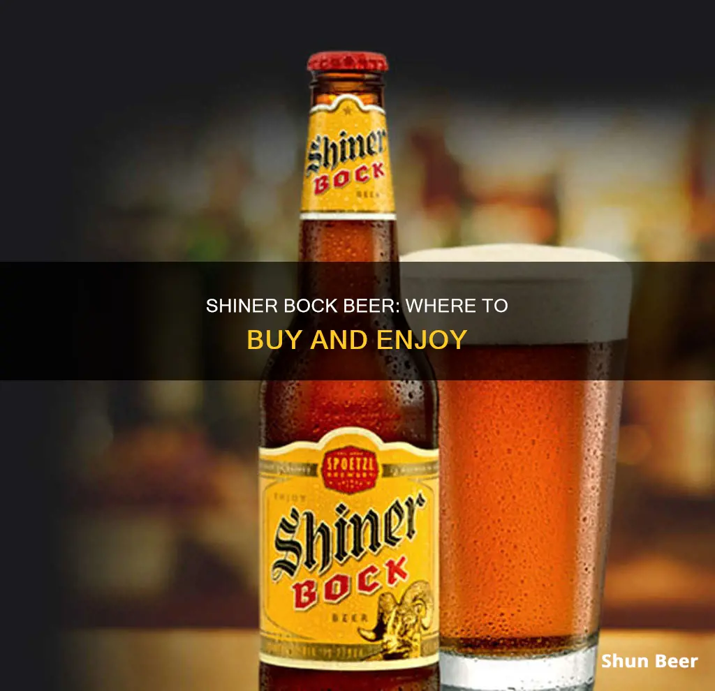 where can i buy shiner bock beer