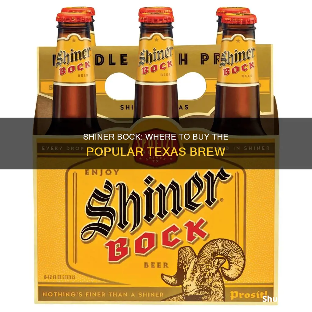 where can i buy shiner bock