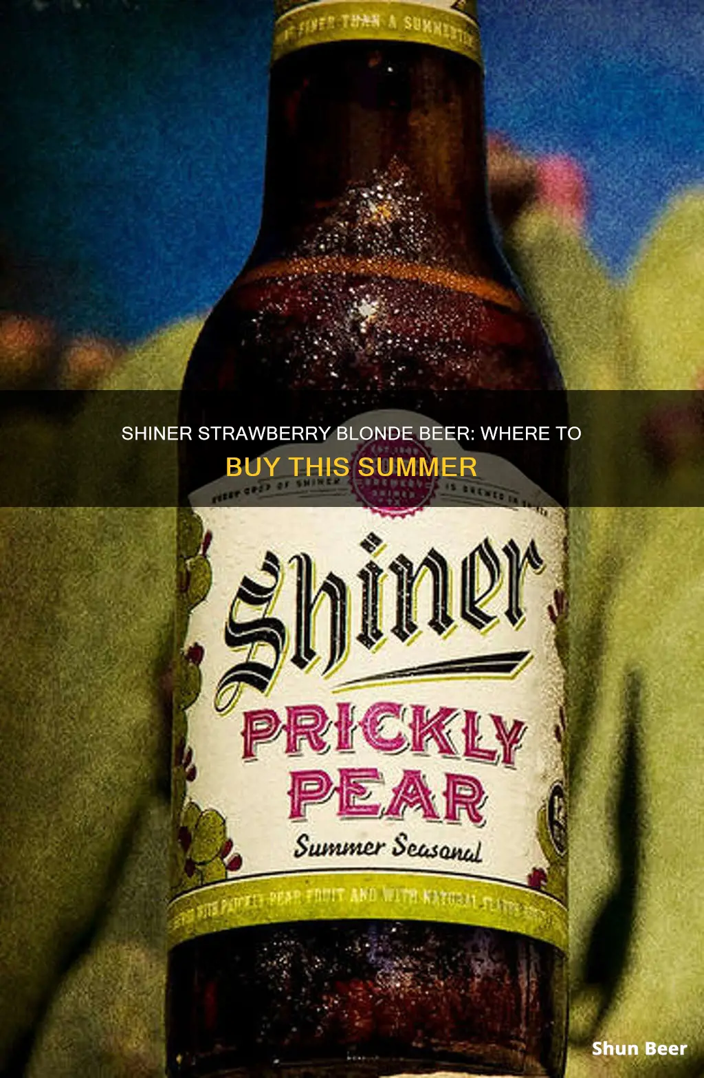 where can i buy shiner strawberry blonde beer