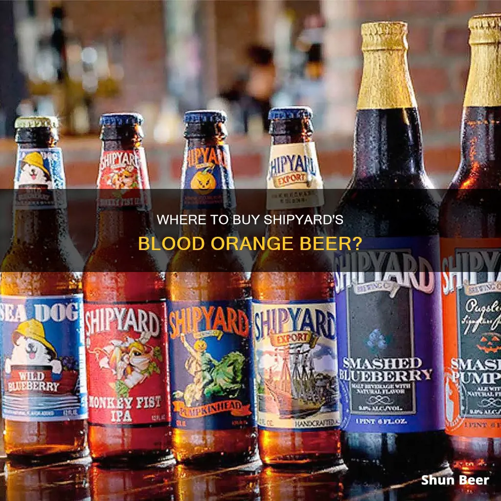 where can i buy shipyard blood orange beer