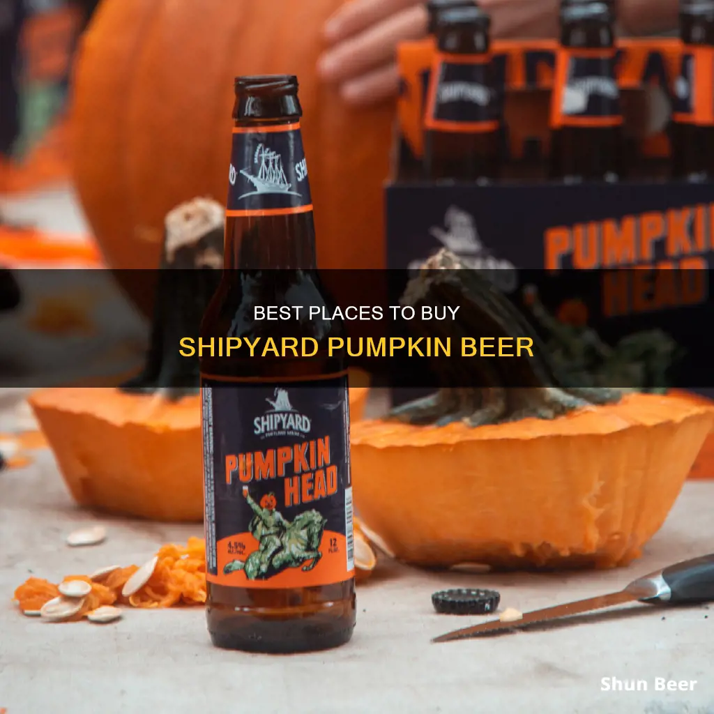 where can i buy shipyard pumpkin beer