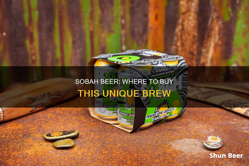 where can i buy sobah beer