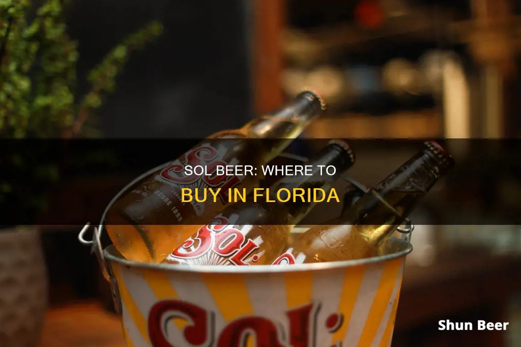 where can i buy sol beer in florida