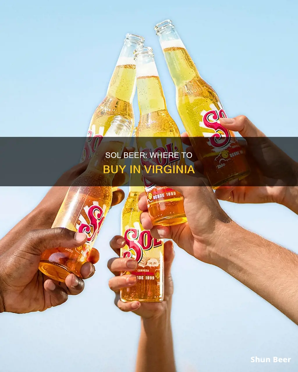 where can i buy sol beer in virginia