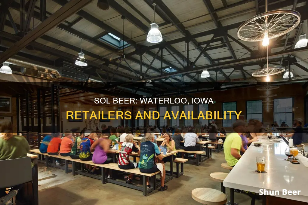 where can i buy sol mexican beer in waterloo iowa