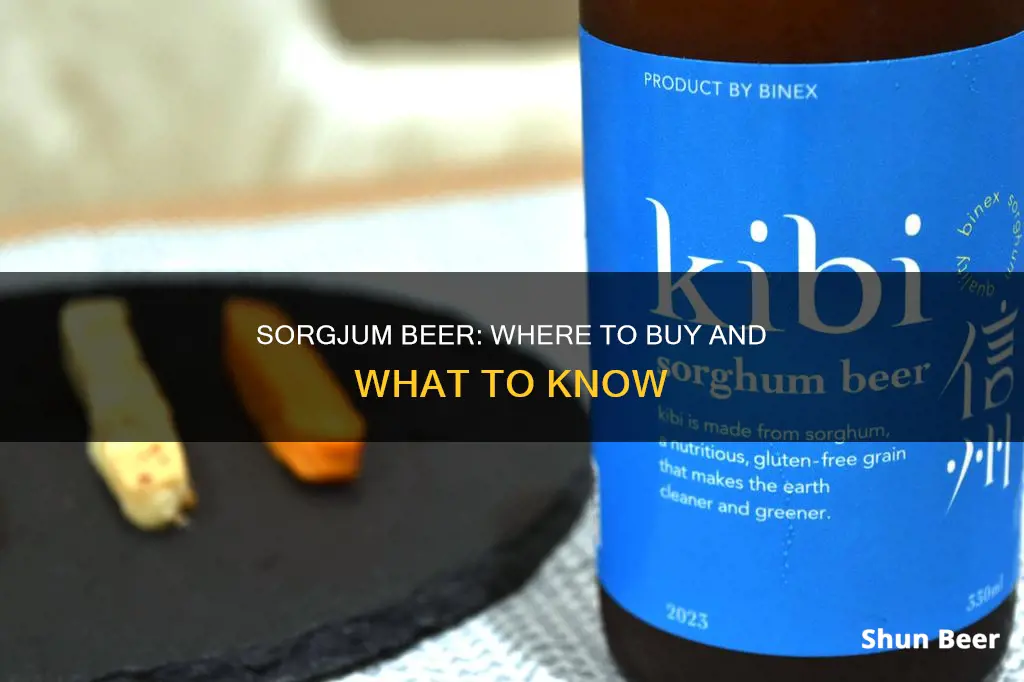 where can i buy sorgjum beer