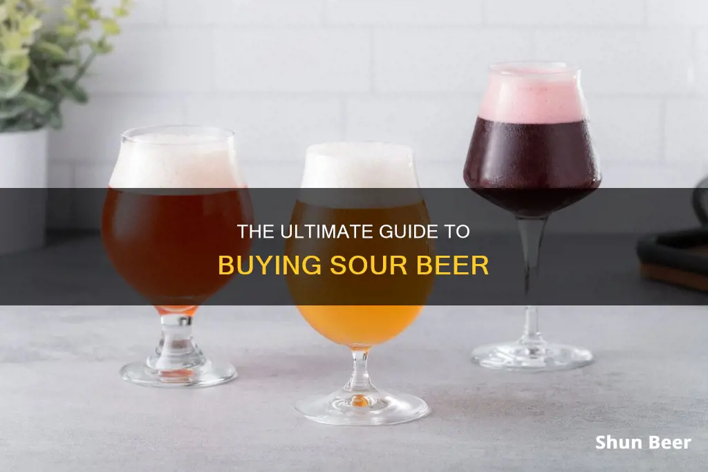 where can i buy sour beer