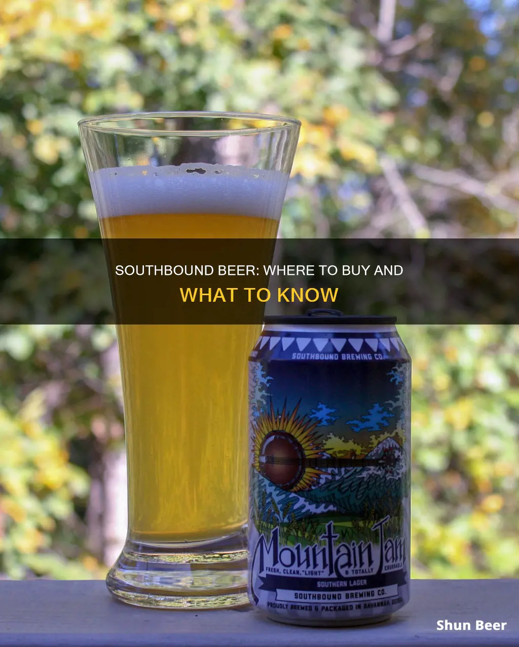 where can i buy southbound beer