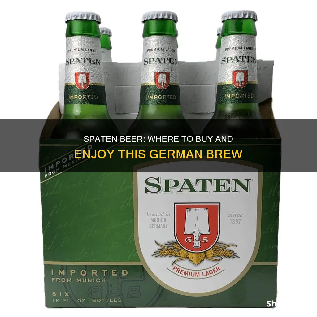 where can i buy spaten beer