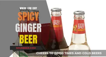 Spicy Ginger Beer: Where to Buy the Best Brands