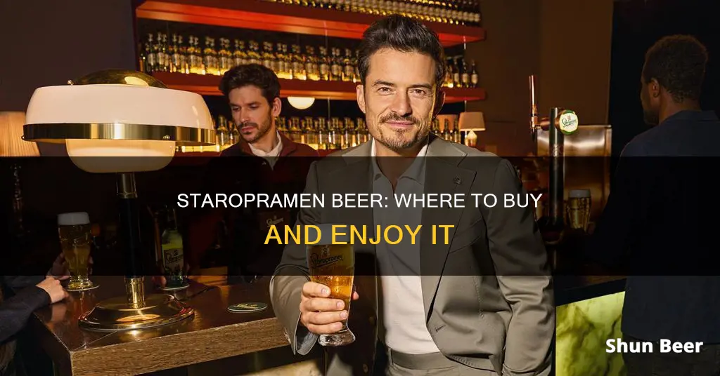 where can i buy staropramen beer