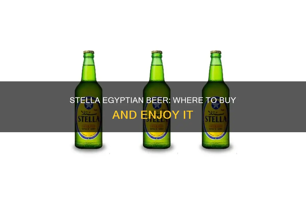 where can i buy stella egyptian beer