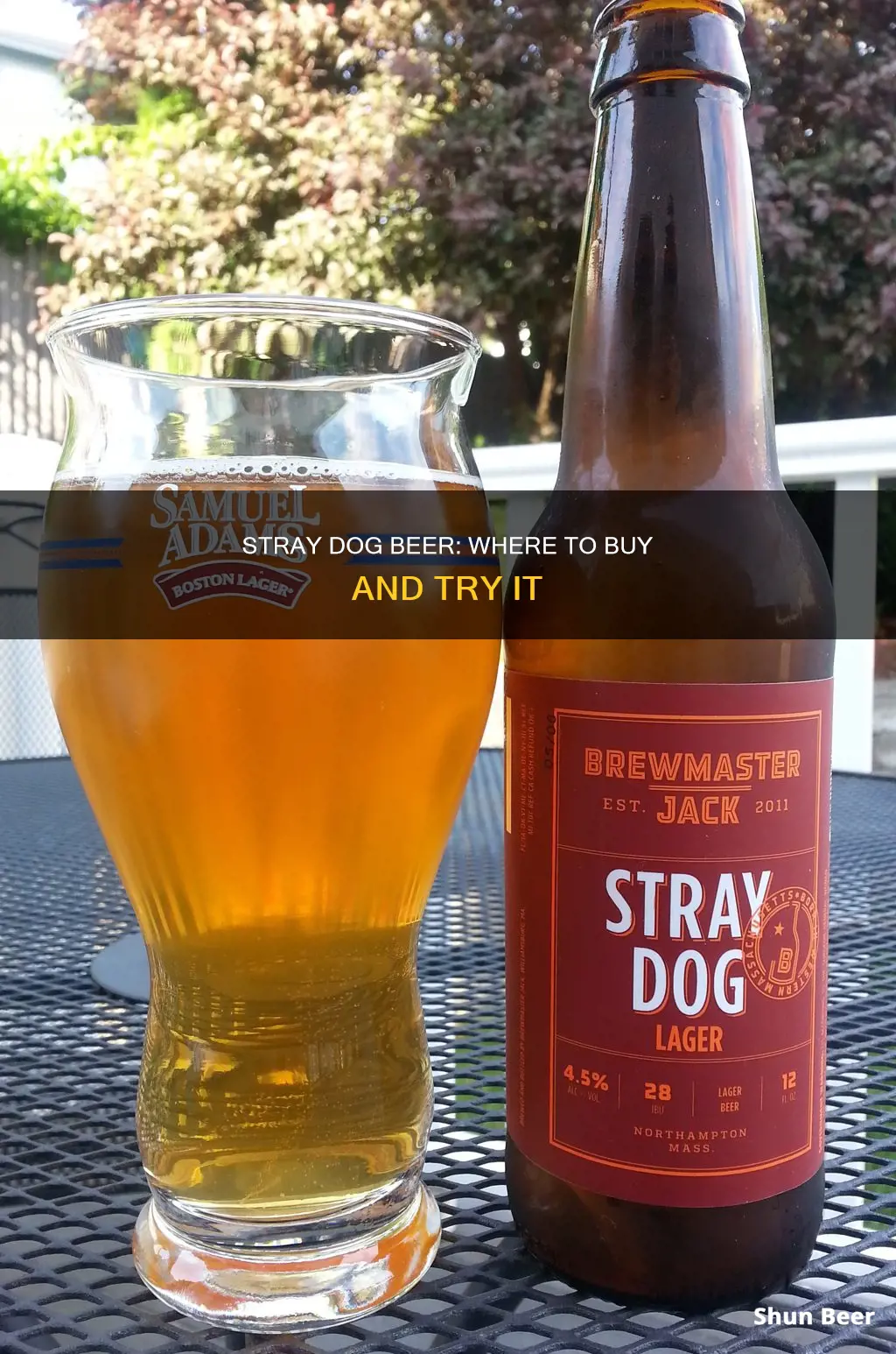 where can i buy stray dog beer