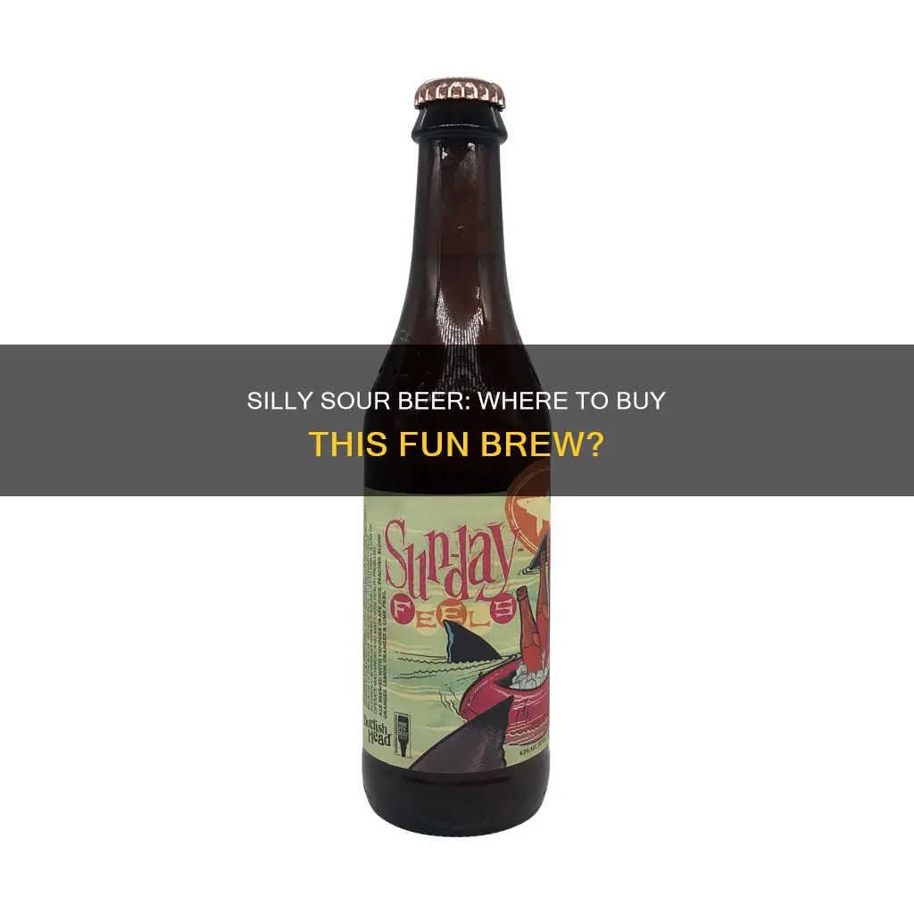 where can i buy stupid silly sour beer