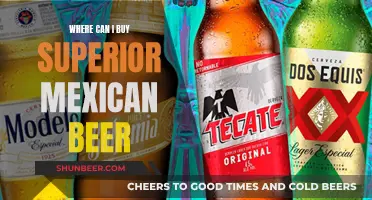 Superior Mexican Beer: Where to Buy the Best Brews