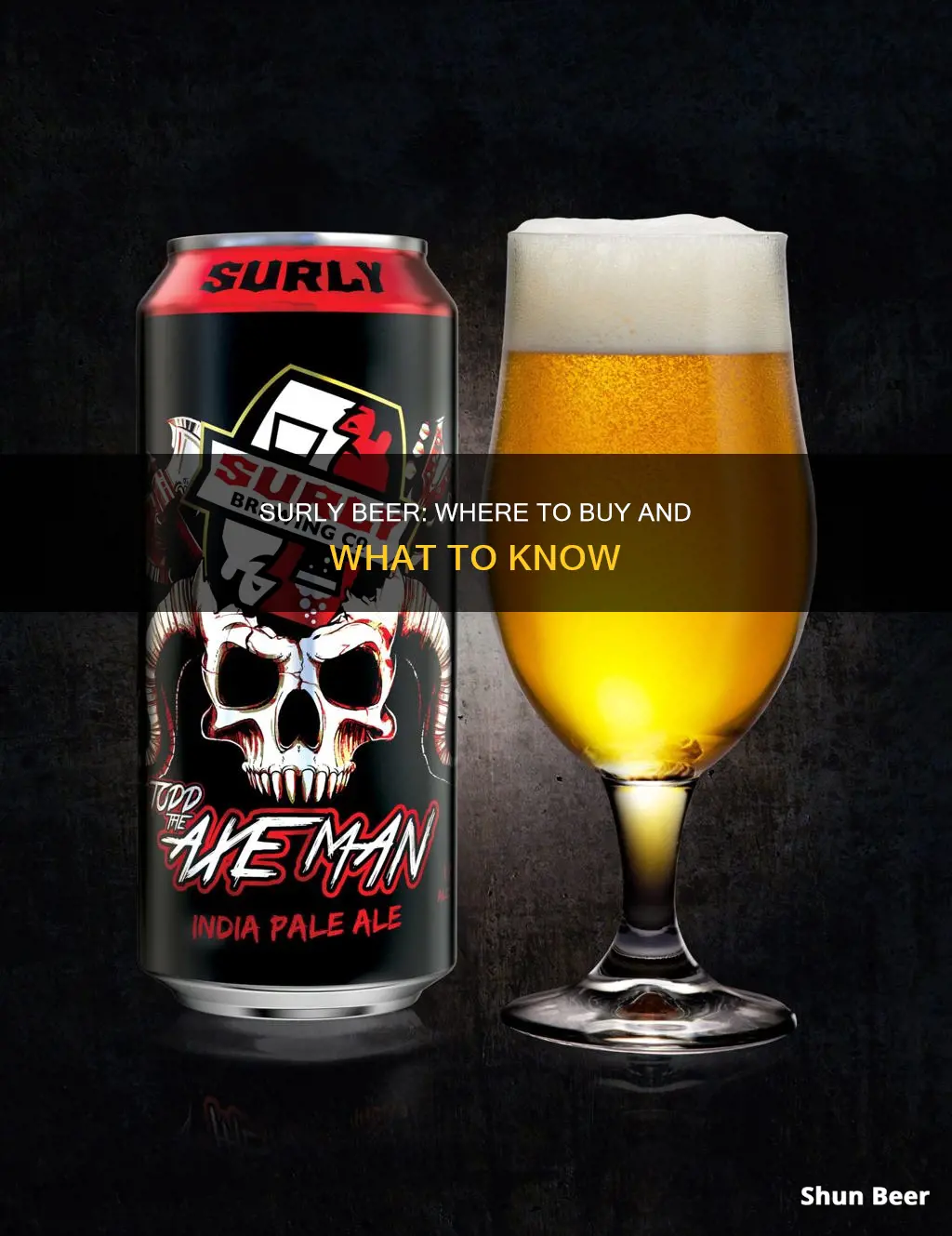 where can i buy surly beer