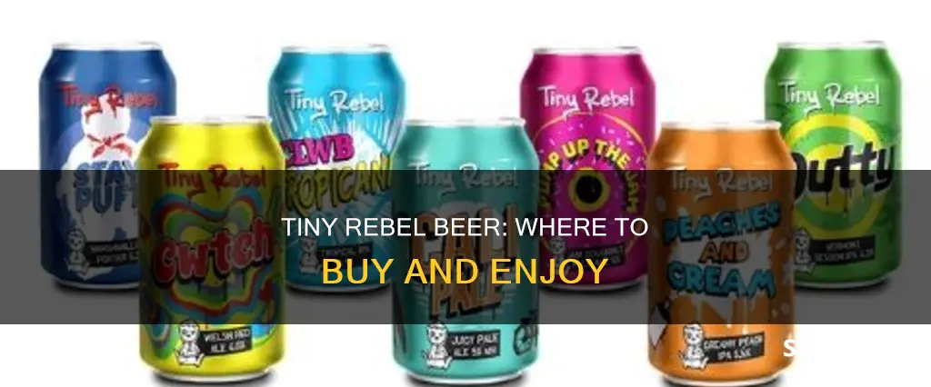 where can i buy tiny rebel beer