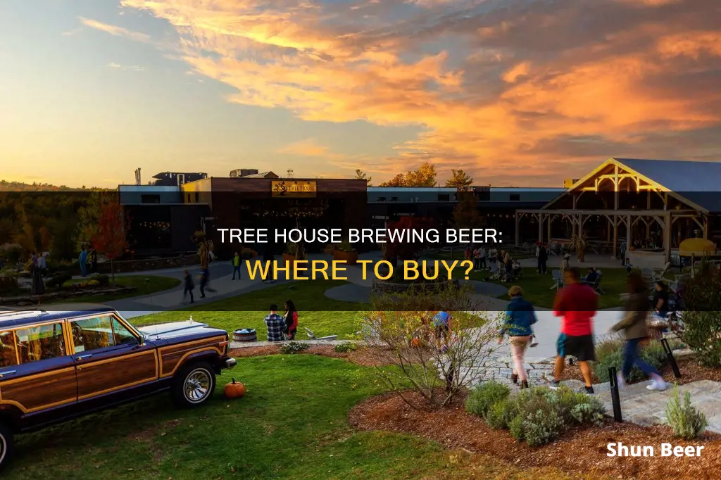 where can i buy tree house brewing beer