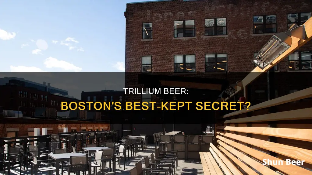 where can i buy trillium beer in boston