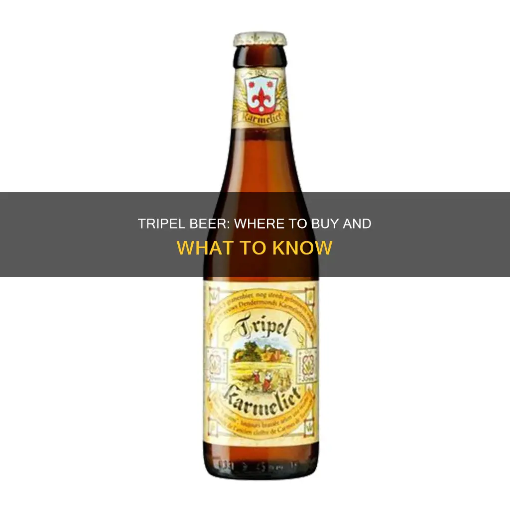 where can i buy tripel beer