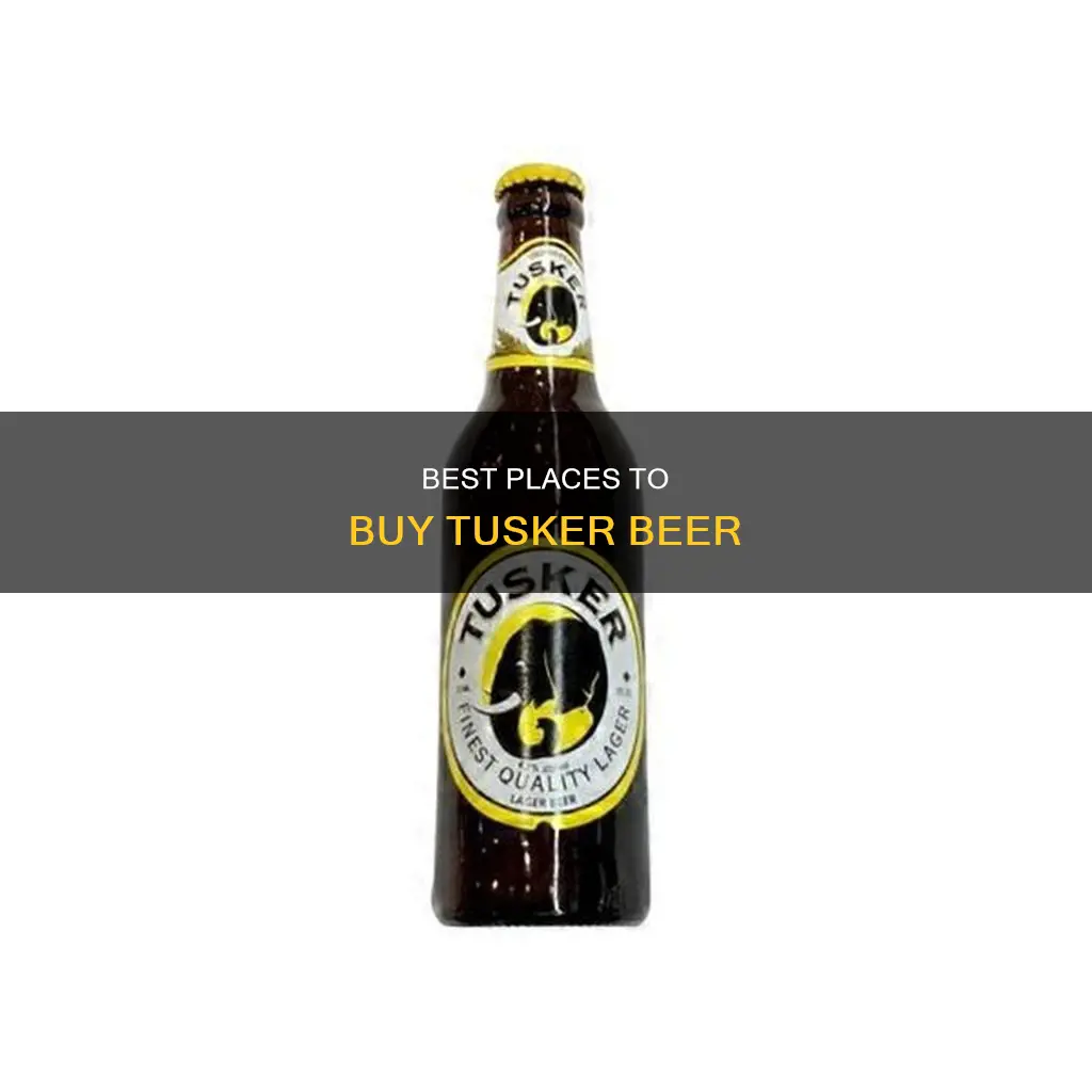 where can i buy tusker beer