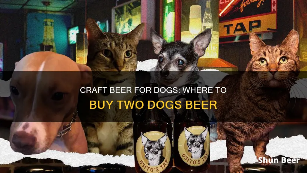 where can i buy two dogs beer